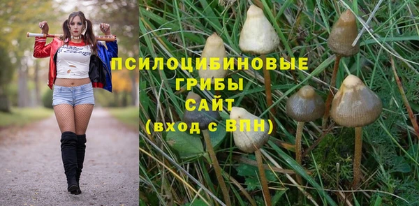 дурь Верхний Тагил