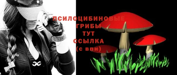 МДПВ Россошь