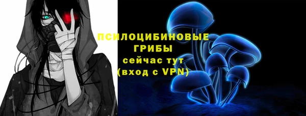 дурь Верхний Тагил
