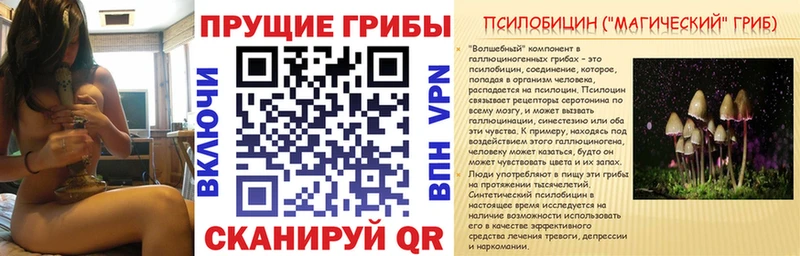 Псилоцибиновые грибы Psilocybe закладка Каменск-Шахтинский